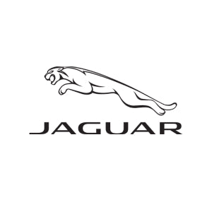 Jaguar Car Boot Liner