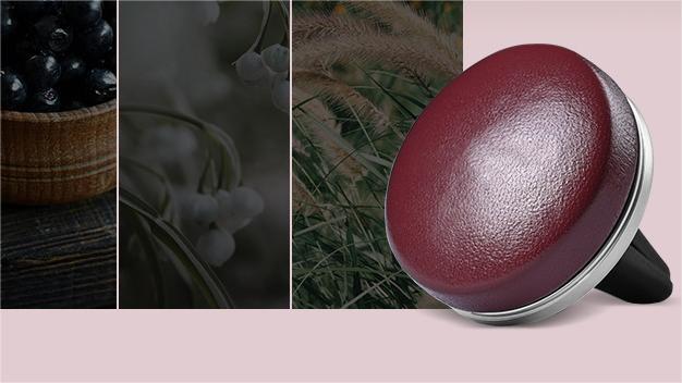 Vent Air Freshener LMY