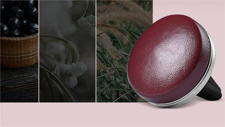 Vent Air Freshener LMY